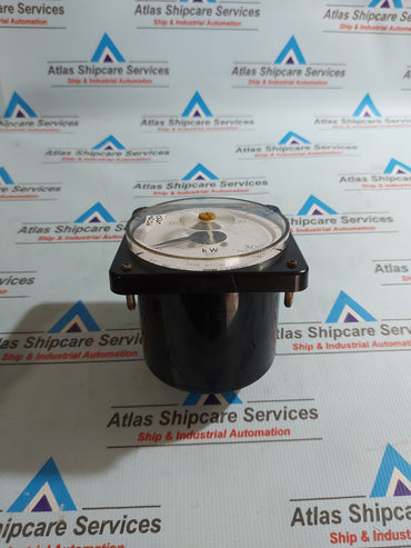 DAIYUN ELECTRONICS W11-W3 0-300W INDICATOR