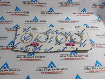 KSB AMRI LIP SEAL RING 3/16 INCH INT60