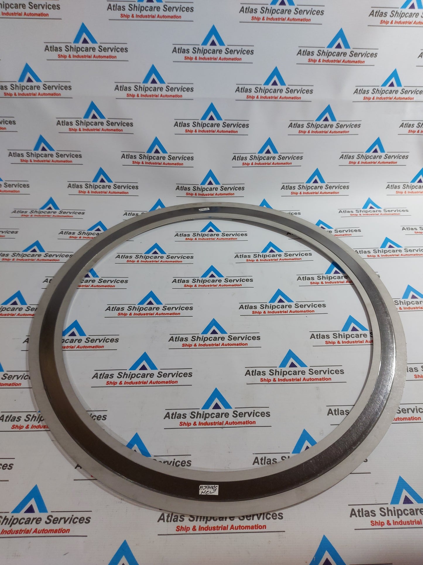 NIPPON PILLAR 2603-EEE SPIRAL WOUND GASKET 150LB-20B