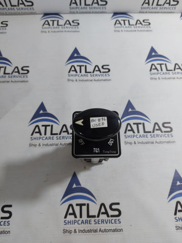 YONGSUNG C-60 ROTARY CAM SWITCH 10A 250VAC