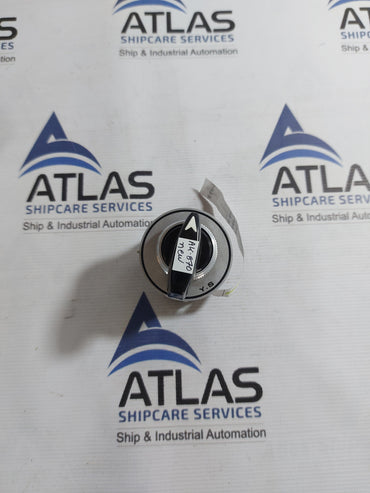 YONGSUNG C2101 CAM SWITCH 10A 250VAC