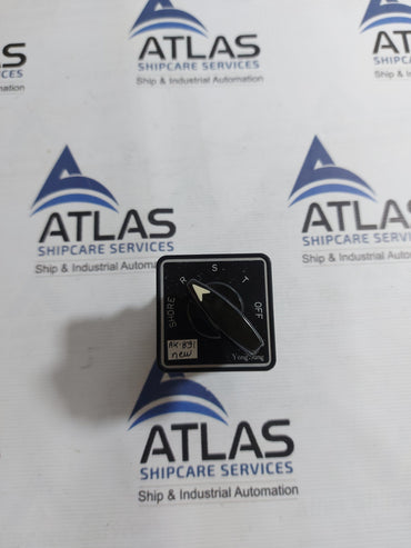 YUNGSUNG C-60 CAM SWITCH AC220V 10A