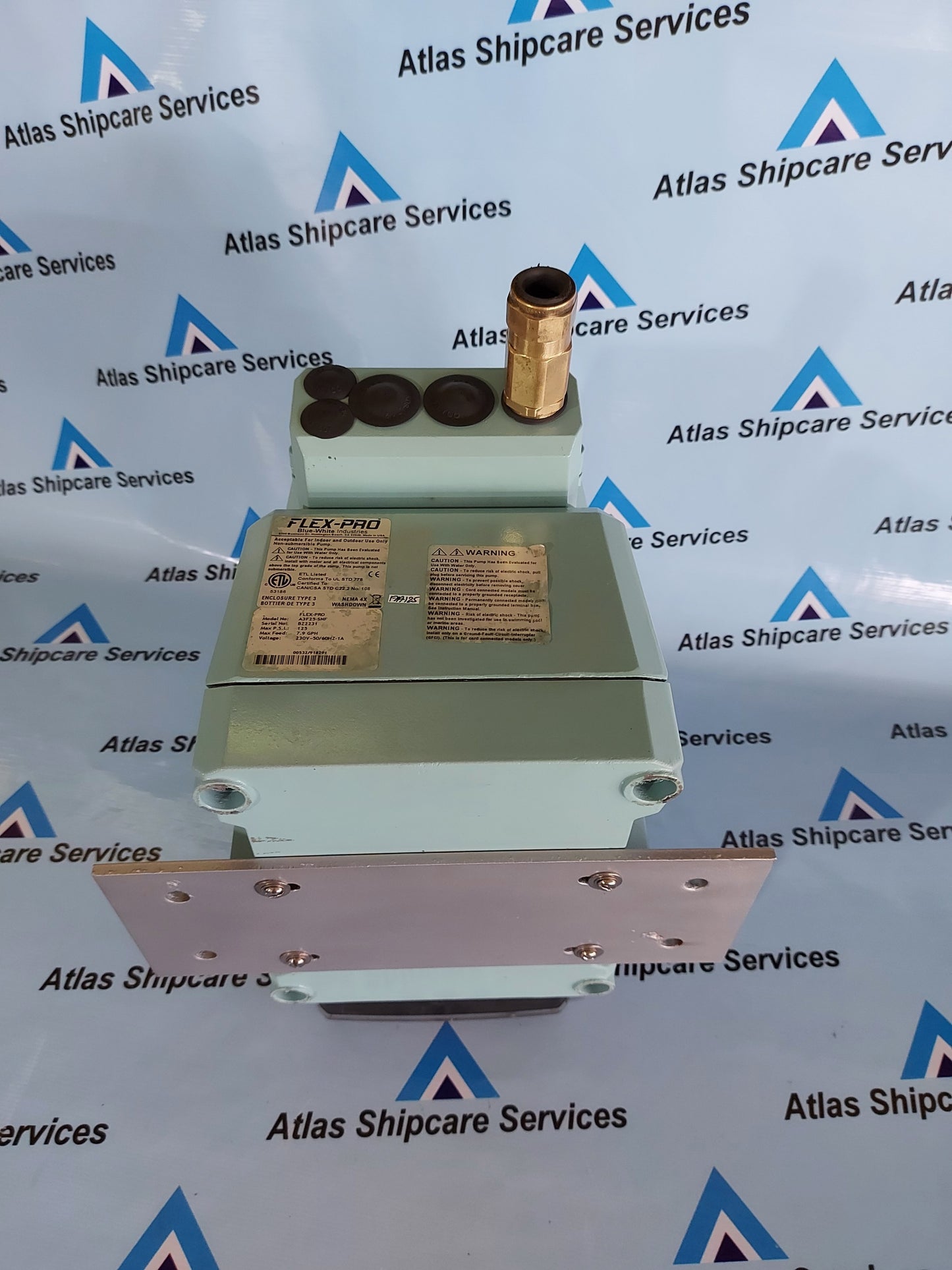 BLUE-WHITE FLEX-PRO A3F SERIES PERISTALTIC METERING PUMP A3F25-SNF