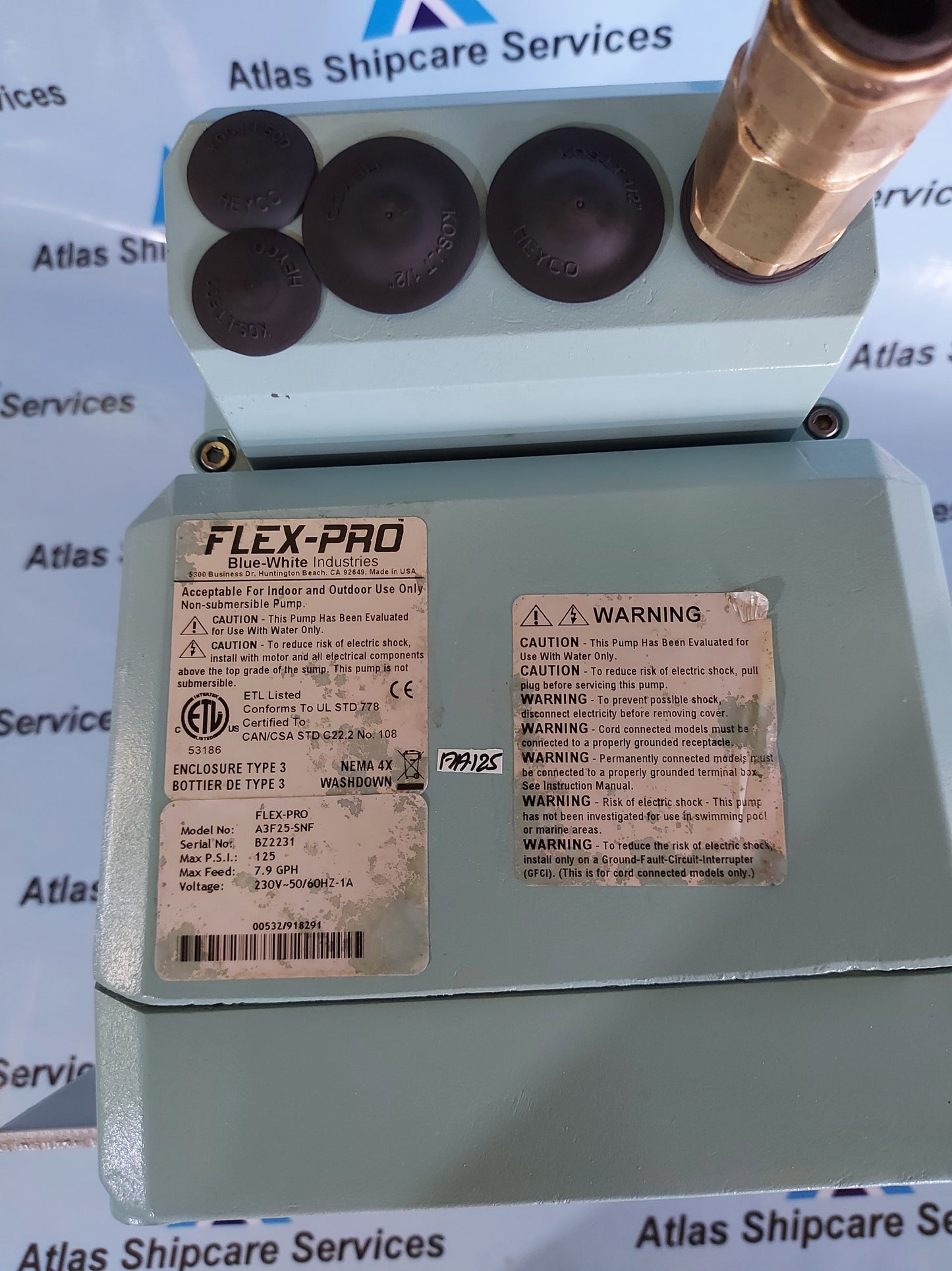 BLUE-WHITE FLEX-PRO A3F SERIES PERISTALTIC METERING PUMP A3F25-SNF