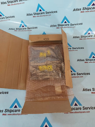 Salicru BM002-F06 Electronic Driver Board