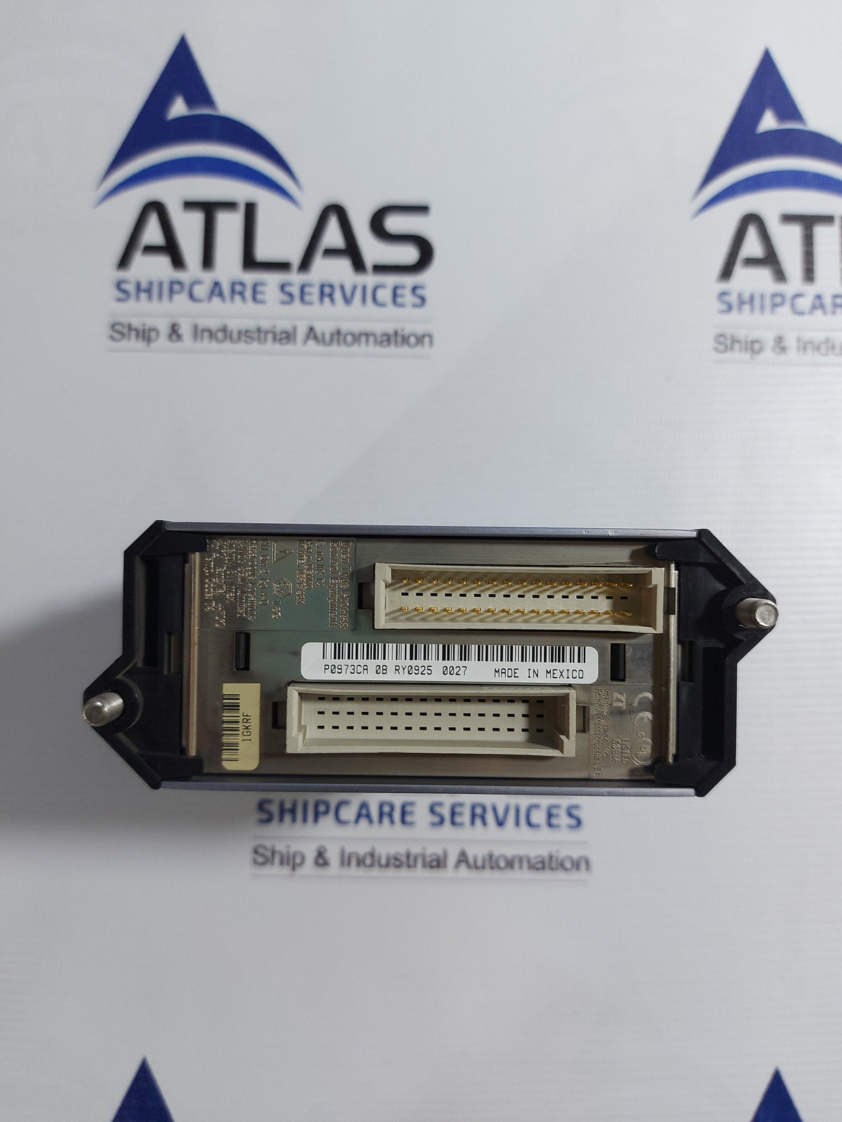 FOXBORO FEM100 P0973CA I/A SERIES FIELDBUS EXPANSION MODULE