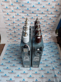 ICAR BIORIPHASO/TF 300/4.2/T-P CAPACITOR BANK MODULE