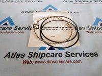 INGERSOLL RAND INDUSTRIAL TECHNOLOGIES 32194144 RING SET