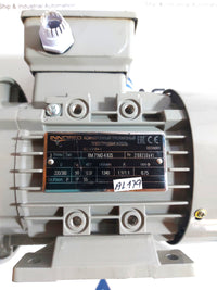 INNORED RM71M2-4B35 0.37kW THREE PHASE INDUCTION MOTOR