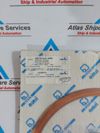 KSB AMRI 42099973 SEAT GASKET KIT DANAIS FLANGE 12" (10/20)