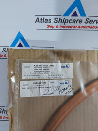 KSB AMRI 42099978 SEAT GASKET KIT DANAIS FLANGE 22" (10/20b)