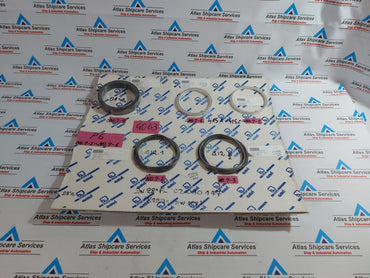 KSB AMRI SEALING PCKING 3555300-0038