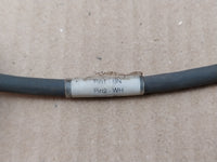 LUMBERG AUTOMATION STRAIGHT MALE 4 WAY 2m SENSOR ACTUATOR CABLE