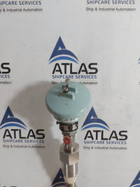 MEIYO PTR-LD RESISTANCE BULB -200..100'C