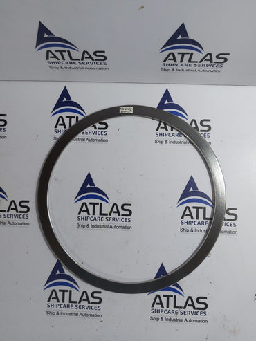 NICHIAS 1806-GR-E00 GASKET RING 1500LBxP/#4506