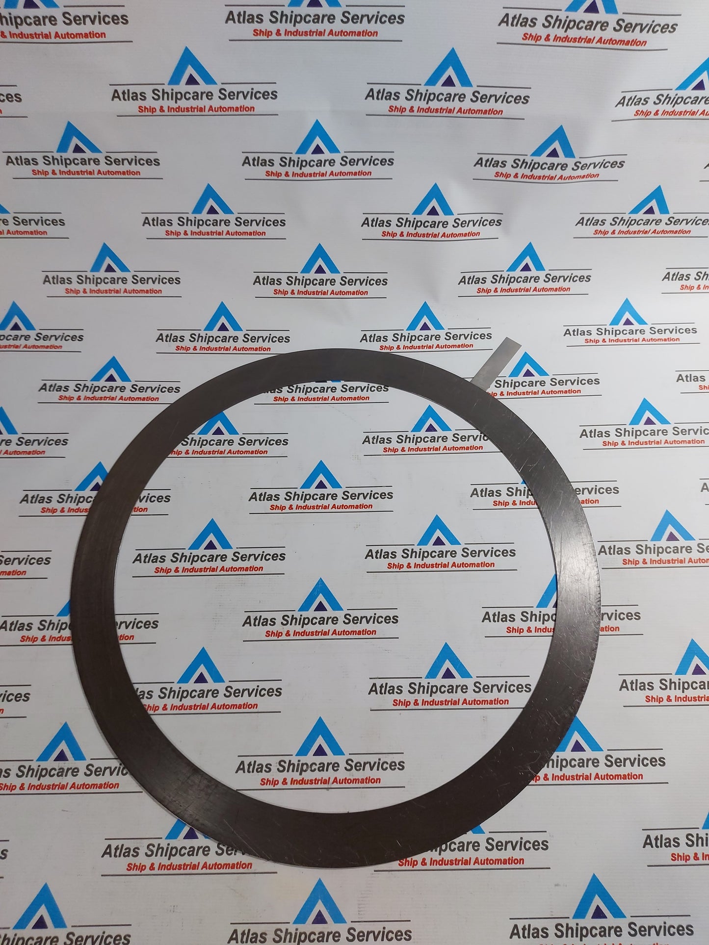 NIPPON PILLAR 6631 SPIRAL WOUND GASKET