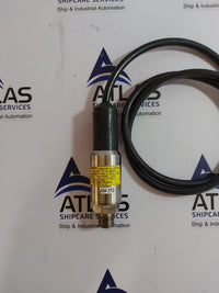 RONGDE RDLY-S PRESSURE TRANSMITTER WITH CABLE