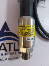 RONGDE RDLY-S PRESSURE TRANSMITTER WITH CABLE