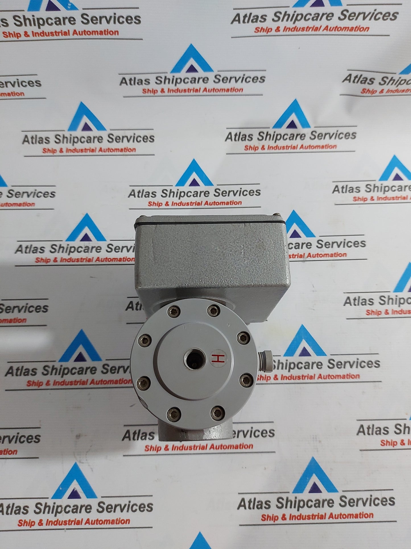 RYUKI ODM-300ST SEA WATER FLOW METER
