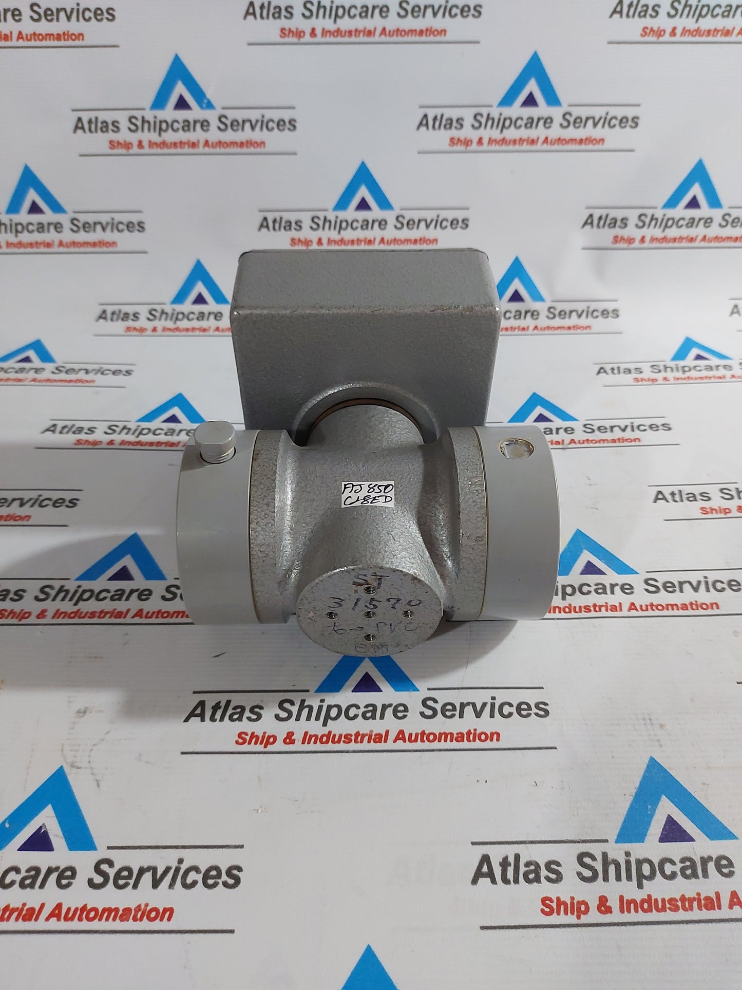 RYUKI ODM-300ST SEA WATER FLOW METER