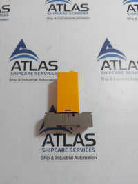 SELECTRON RZEA 30 MULTIFUNCTION TIME RELAY 12-48VAC/DC