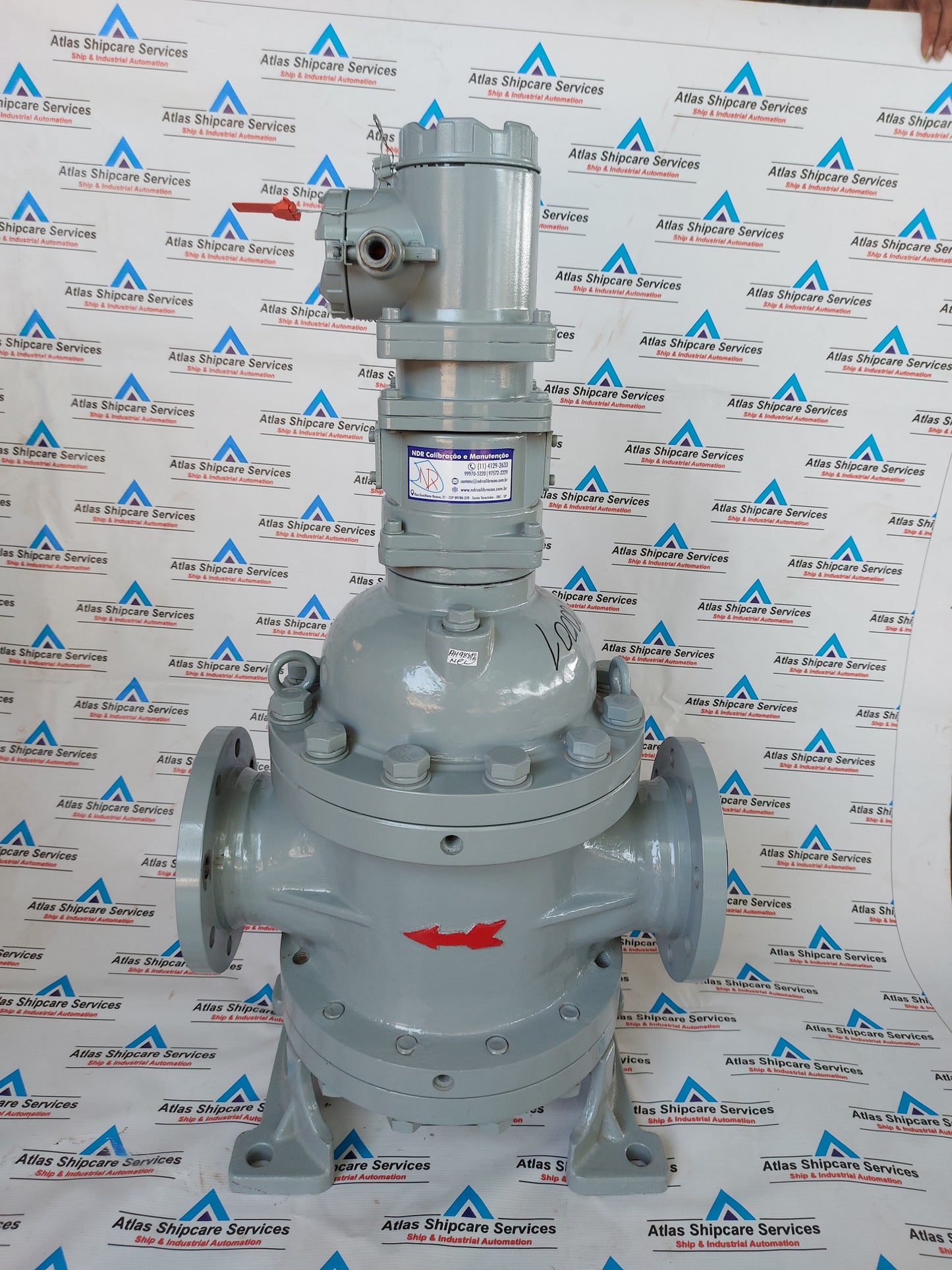 SHANGHAI YINUO INSTRUMENT LSZ-100D1.6PGAI DOUBLE-ROTATOR FLOWMETER
