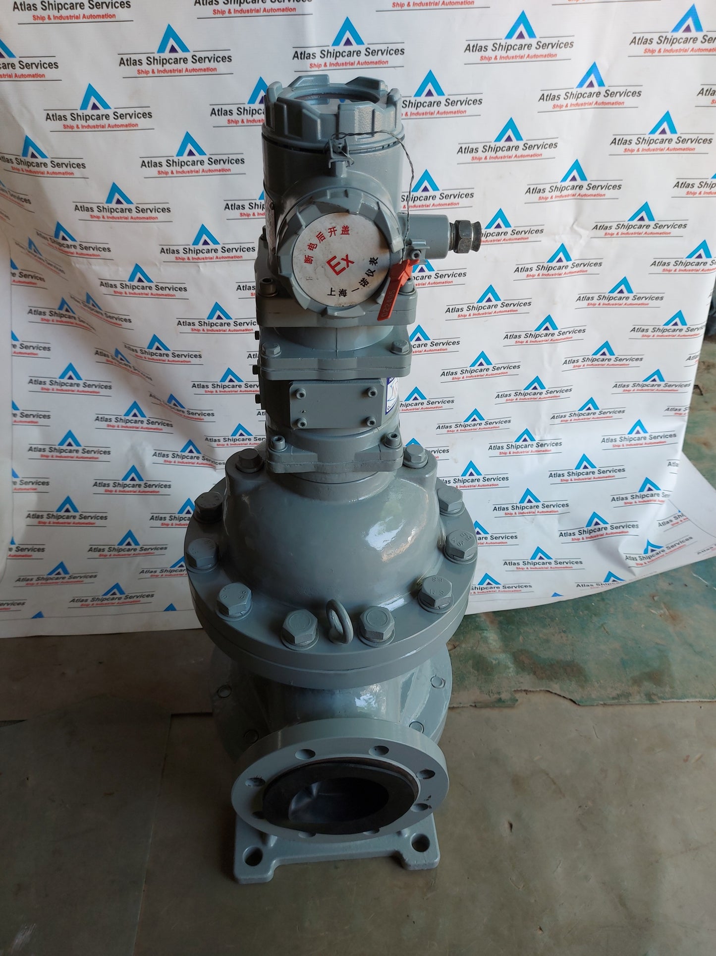SHANGHAI YINUO INSTRUMENT LSZ-100D1.6PGAI DOUBLE-ROTATOR FLOWMETER