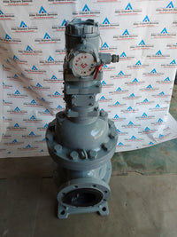 SHANGHAI YINUO INSTRUMENT LSZ-100D1.6PGAI DOUBLE-ROTATOR FLOWMETER