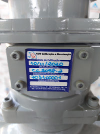SHANGHAI YINUO INSTRUMENT LSZ-100D1.6PGAI DOUBLE-ROTATOR FLOWMETER