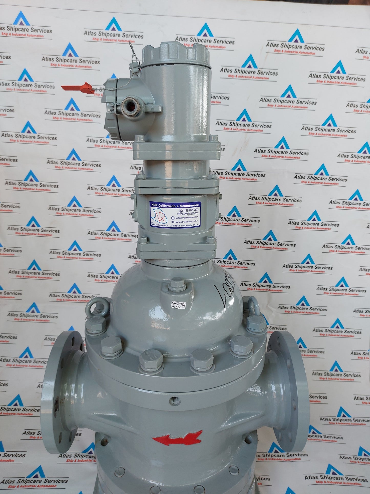 SHANGHAI YINUO INSTRUMENT LSZ-100D1.6PGAI DOUBLE-ROTATOR FLOWMETER