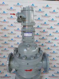 SHANGHAI YINUO INSTRUMENT LSZ-100D1.6PGAI DOUBLE-ROTATOR FLOWMETER
