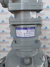 SHANGHAI YINUO INSTRUMENT LSZ-100D1.6PGAI DOUBLE-ROTATOR FLOWMETER