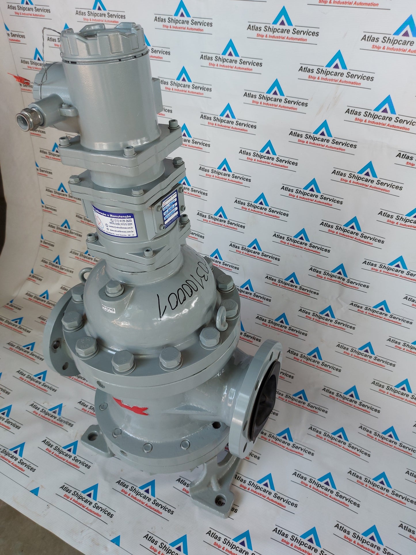 SHANGHAI YINUO INSTRUMENT LSZ-100D1.6PGAI DOUBLE-ROTATOR FLOWMETER