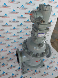 SHANGHAI YINUO INSTRUMENT LSZ-100D1.6PGAI DOUBLE-ROTATOR FLOWMETER