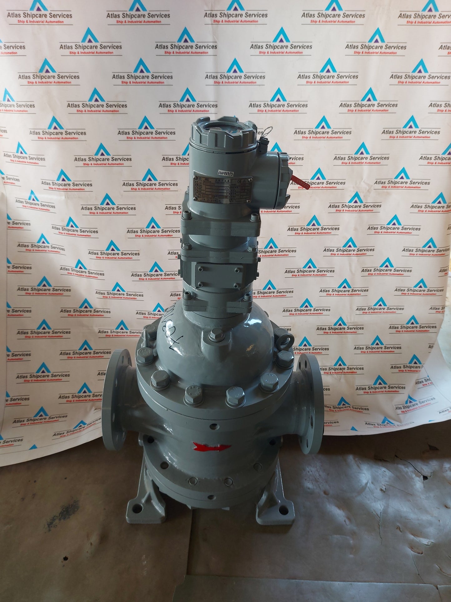 SHANGHAI YINUO INSTRUMENT LSZ-100D1.6PGAI DOUBLE-ROTATOR FLOWMETER