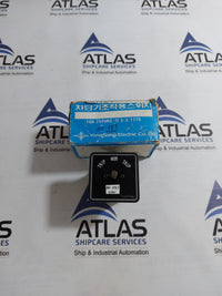 YONGSUNG 3110 CAM SWITCH 10A 250VAC