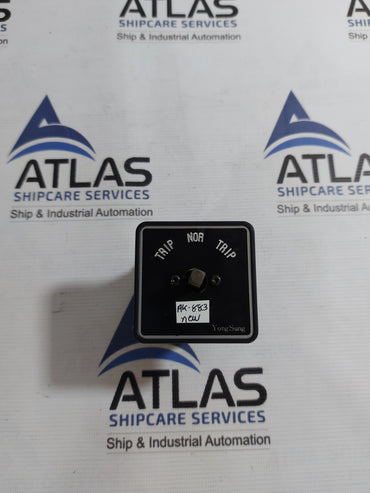 YONGSUNG 3110 CAM SWITCH 10A 250VAC