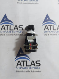 YONGSUNG 6022 CAM SWITCH 10A 250VAC