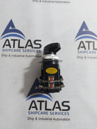 YONGSUNG 6022 CAM SWITCH 10A 250VAC