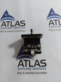 YONGSUNG C-60 CAM SWITCH 10A 250VAC