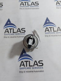 YONGSUNG C2101 CAM SWITCH 10A 250VAC