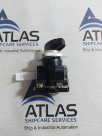 YONGSUNG C2101 CAM SWITCH 10A 250VAC