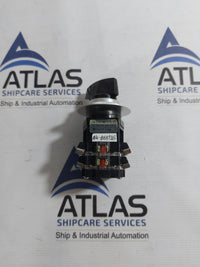 YONGSUNG C2201 CAM SWITCH 10A 250VAC