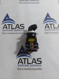 YONGSUNG C2201 CAM SWITCH 10A 250VAC