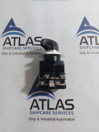 YONGSUNG C2201 CAM SWITCH 10A 250VAC