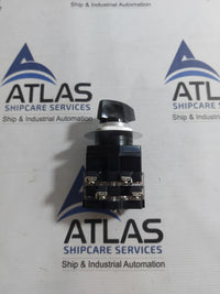 YONGSUNG C2201 CAM SWITCH 10A 250VAC