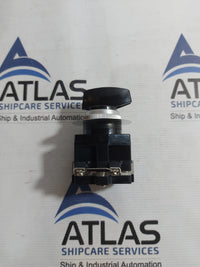 YONGSUNG C3102A CAM SWITCH 10A 250VAC