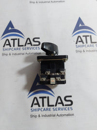 YUNGSUNG C-60 CAM SWITCH 10A 250VAC