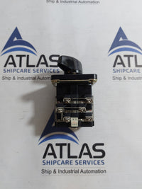 YUNGSUNG C-60 CAM SWITCH AC220V 10A