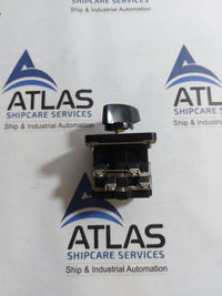 YUNGSUNG C-60 CAM SWITCH 10A 250VAC